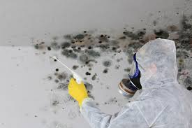 Best Residential Mold Inspection & Testing  in Chester, CA